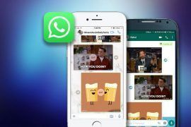 WhatsApp GIF Messages