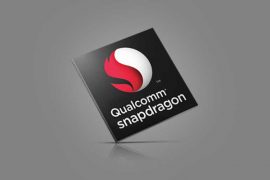 Snapdragon